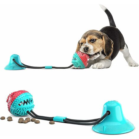 Juguetes para Perro de 12 Piezas- Juguete para Masticar, Juguete para  Perros Molar de Goma Duradero, Utilizado para Jugar, Limpiar Los Dientes,  Juego