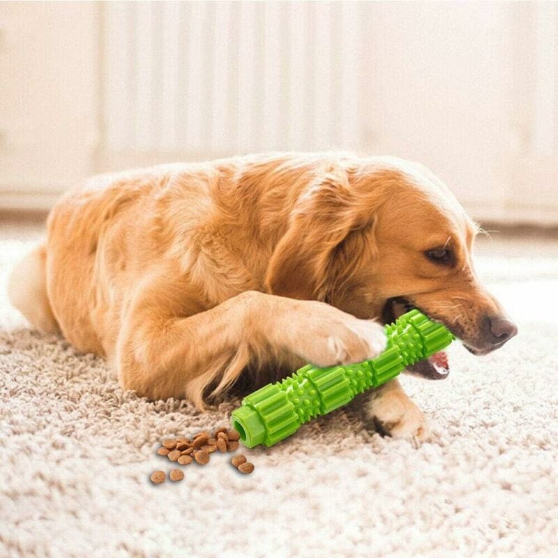 

Juguetes para masticar para perros Juguetes para masticar mascotas Juguetes para mordidas Juguetes para cachorros Jugar IQ Cepillo de dientes Verde L.