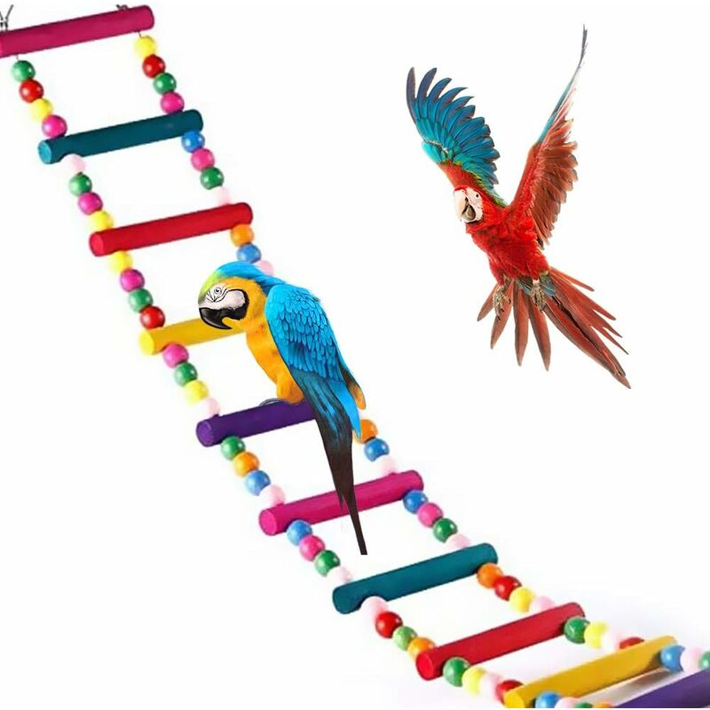 

Juguetes para pájaros loros, escalera, columpio, entrenamiento de puente arcoíris para loros, periquitos, conures, Cokatoo