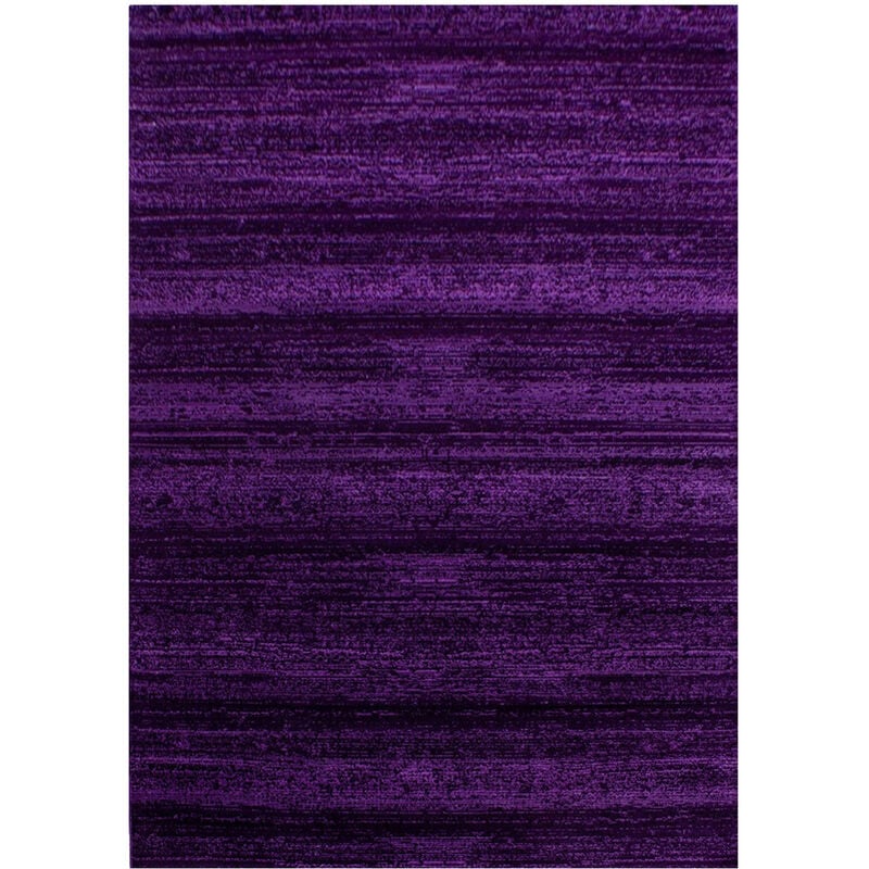 Plus - julia - Tapis Uni à dégradé (Violet - 200x290cm)