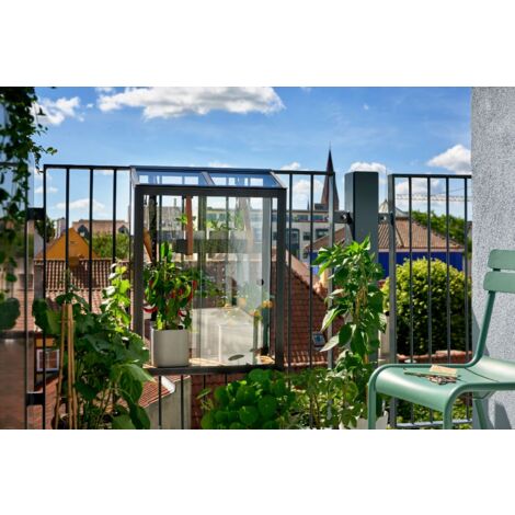 Juliana MiniGewächshaus Balcony Gewächshaus aus Metall in Schwarz Anzuchthaus Wandstärke: 3 mm Treibhaus - Schwarz