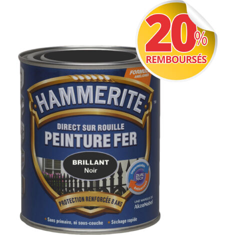 Peinture Direct sur Rouille - Hammerite