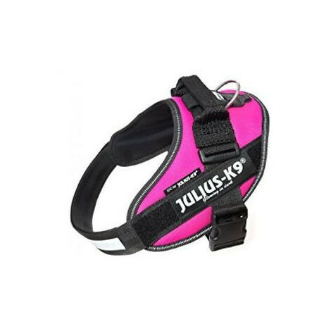 Julius Arns IDC Dog 2 Fuchsia