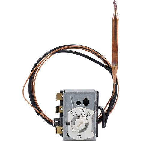 Jumo 60002995  Temperaturbegrenzer