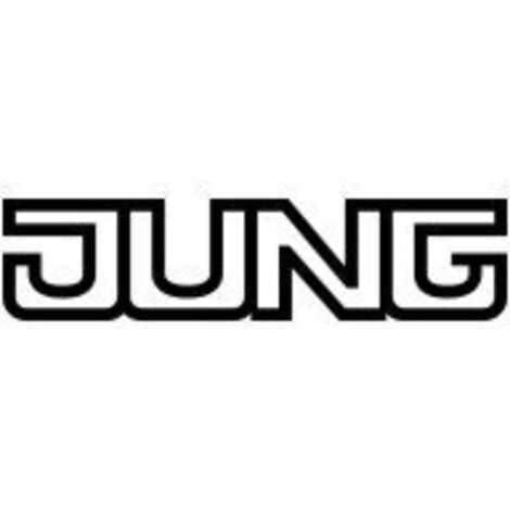 JUNG 505EU MÉCANISME DOUBLE INTERRUPTEUR SANS GRIFFES FIXATION