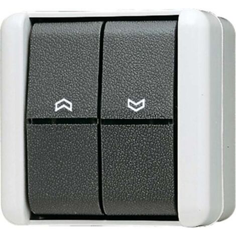 JUNG 839VW JEALOUSY-WIPPSCHALTER ASSAGGIATORE 1-POL.