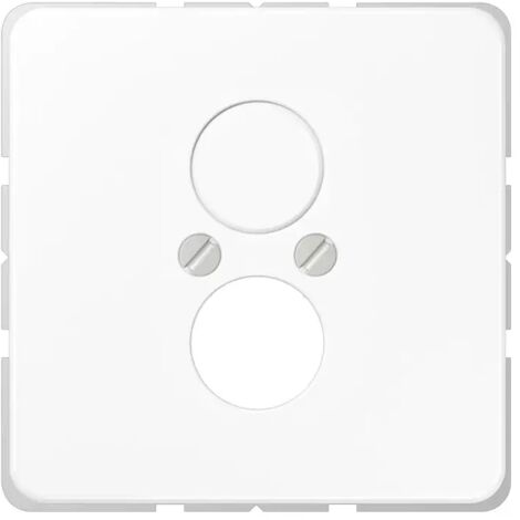 Jung Abdeckung aws für 2 Kleinst.Dosen CD 562 WW