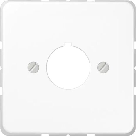 Jung Abdeckung aws für Befehlsgeräte CD 564 WW
