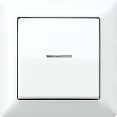 JUNG AS590KO5 BASCULE POUR INTERRUPTEUR/BOUTON KO