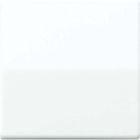 JUNG AS591 TECLA SIMPLE, DUROPLÁSTICO (RESISTENTE AL RAYADO) BRILLANTE, BLANCO MARFIL