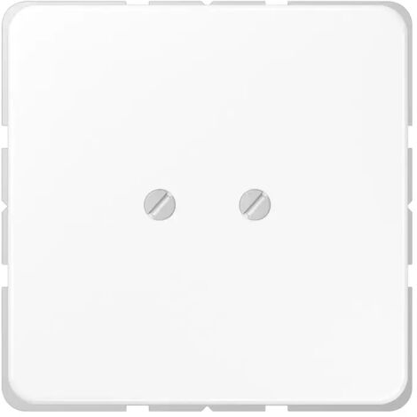 Jung Blind-Abdeckung aws kompl.mit Tragring CD 561 B WW