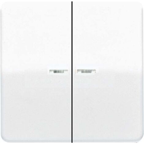 JUNG CD 595 KO5WW (CD595KO5WW)