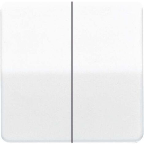 JUNG CD 595 SW (CD595 SW)