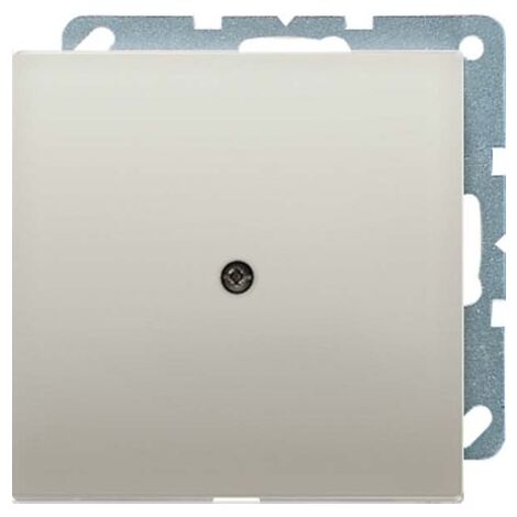 JUNG ES 2990 A plaque finition acier inoxydable