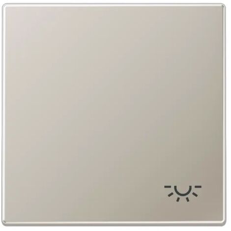 JUNG ES2990L WIPPE MIT SYMBOL ''LICHT''