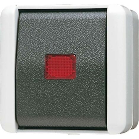 Jung Interrupteur à bascule lumineux, universel va-et-vient, 10 AX 250 V , IP 44, WG 800 806 KOW
