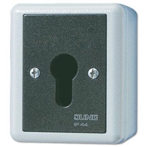 Jung Interruttore a chiave, interruttore universale OFF-deviatore, 2 poli, IP 44, WG 800 806.28 G
