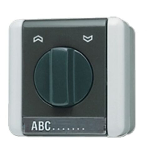 Jung Interruttore rotativo per tapparelle, 1 poli (1 motore), con campo di scrittura, IP 44, WG 800 834.10 W