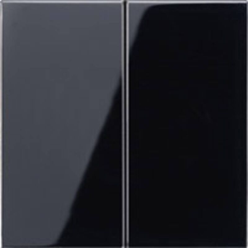 LS995SW interrupteur à bascule pour interrupteur double allumage - Jung