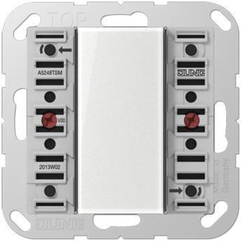 Jung Modulo sensore a pulsante 24 V AC/DC, 20 mA, a 4 canali, 8 punti di commutazione, F50, Serie AS/A A 5248 TSM