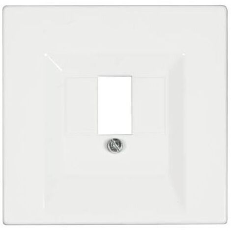Jung Placca di copertura Presa TAE, Presa USB LS 990, LS design, LS plus Bianco alpino LS 969 T WW
