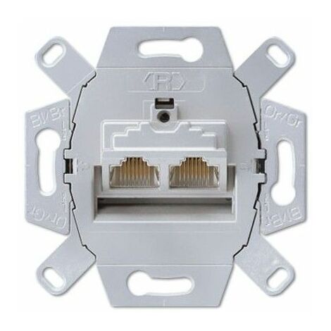 Jung Prise RJ45 Catégorie 6 Gris 2 Ports Fixation Vis