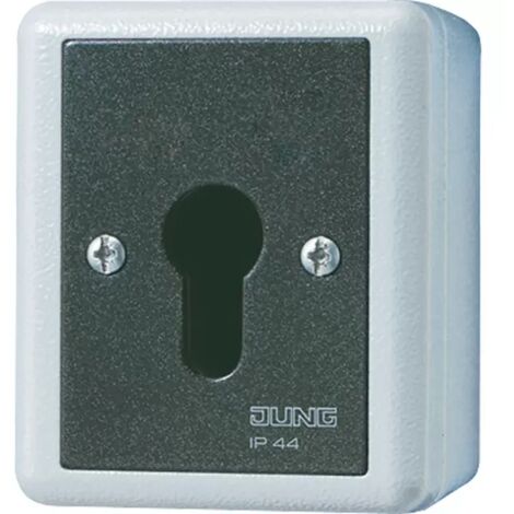 Jung Schlüsselschalter, Universal Aus-Wechselschalter, 2-pol., IP 44, WG 800 806.28 G