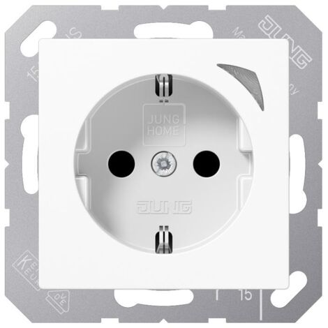 Jung SCHUKO Steckdose BT A 1521 S WW