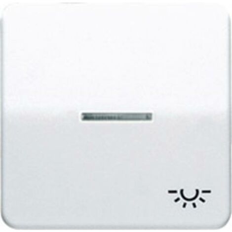 Jung simple Cache Bascule symbole éclairage blanc-alpin CD590KO5LWW