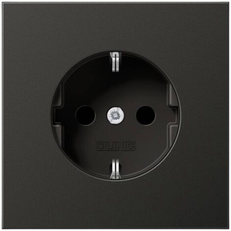 Jung simple Insert Prise 2P+T noir AL1520NAN 1 pc(s)