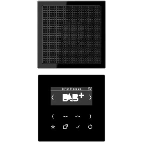 Jung Smart Radio DAB+, Set Mono 1fach, Serie LS, schwarz DAB LS1 SW