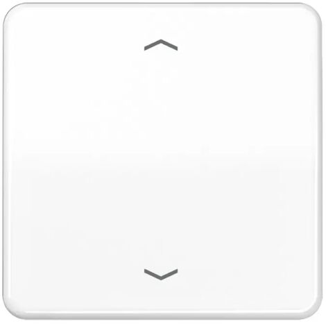 Jung Steuertaste Standard CD 1700 P WW