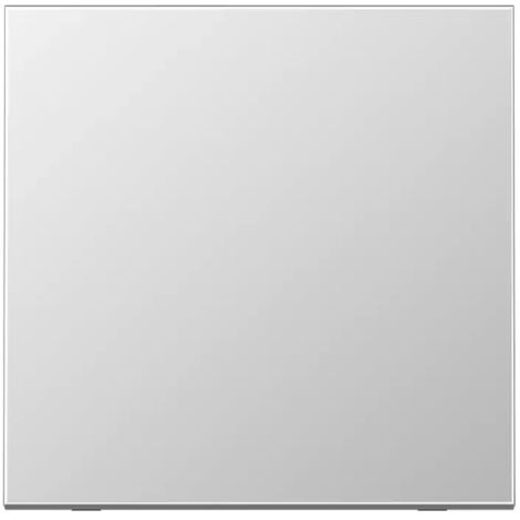Jung Steuertaste Standard, neutral, Aluminium AlMg1 Naturton, mattgebeizt, Serie LS, Aluminium AL1700
