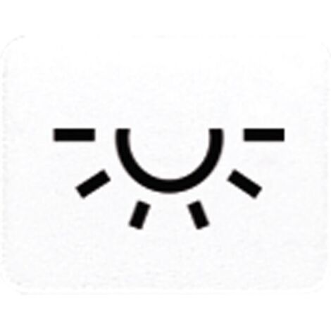 Jung Symbol aws 33 L WW