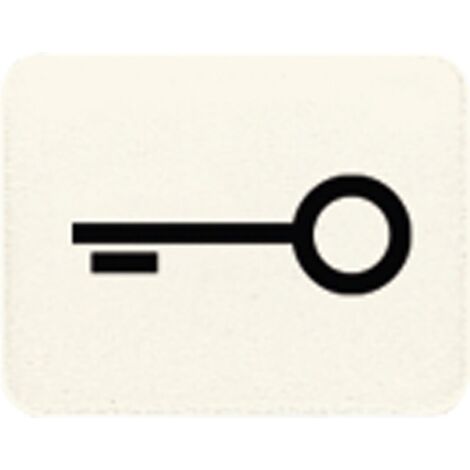Jung Symbol ws 33 T