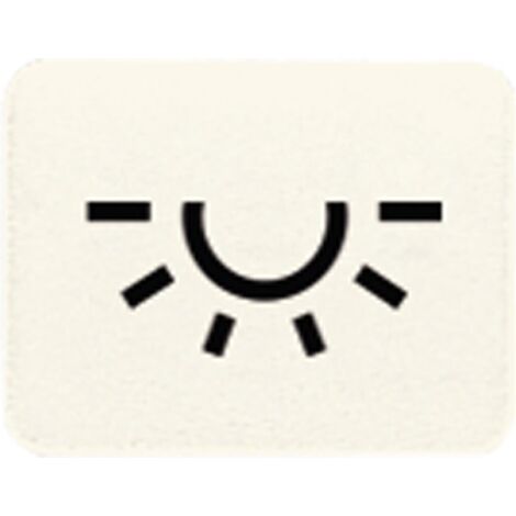 Jung Symbol ws LICHT 33 L