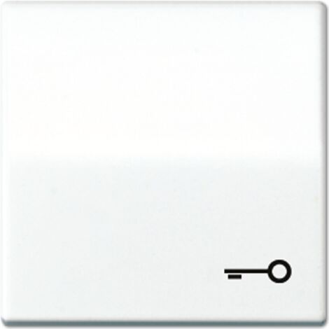 Jung Tasto basculante 1 posto, simbolo porta, duroplastico, Serie AS, bianco alpino AS 591 T WW