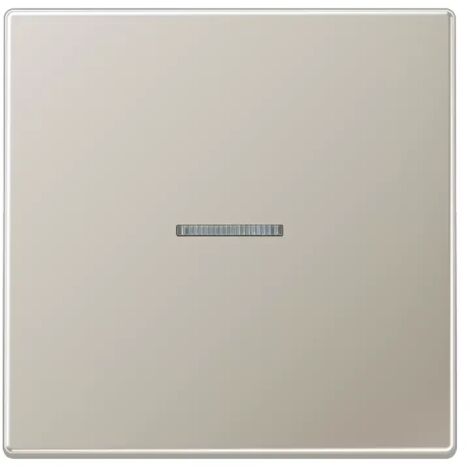 Jung Wippe 1fach mit Lichtleiter, Serie LS, Edelstahl ES2990KO5