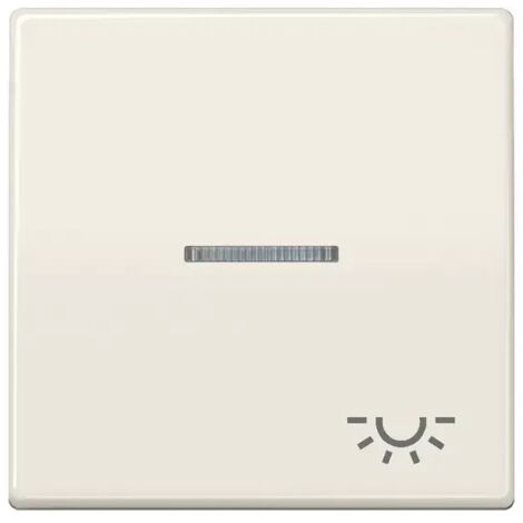 Jung Wippe 1fach mit Lichtleiter, Symbol Licht, Duroplast, Serie AS, weiß AS591KO5L