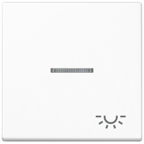 Jung Wippe 1fach, Symbol Licht, mit Lichtleiter, Duroplast, Serie A, alpinweiß A 590 KO5 L WW