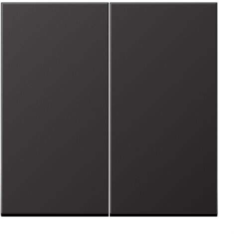 Jung Wippe 2fach, Aluminium lackiert, Serie LS, dark AL 2995 D