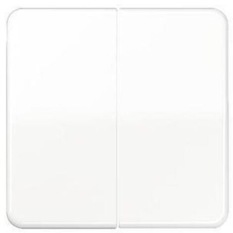 Jung Wippe aws für Taster CD 595 WW