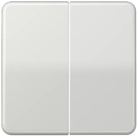 Jung Wippe lgr für Taster CD 595 LG