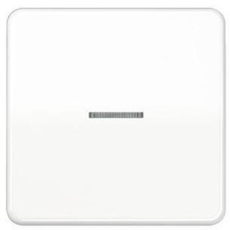 Jung Wippe Lichtleiter aws für Taster CD 590 KO5 WW