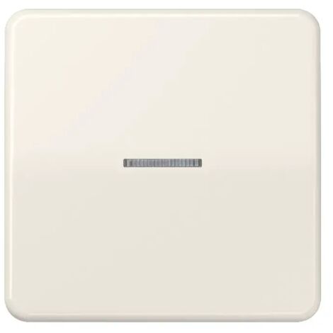 Jung Wippe Lichtleiter ws für Taster CD 590 KO5