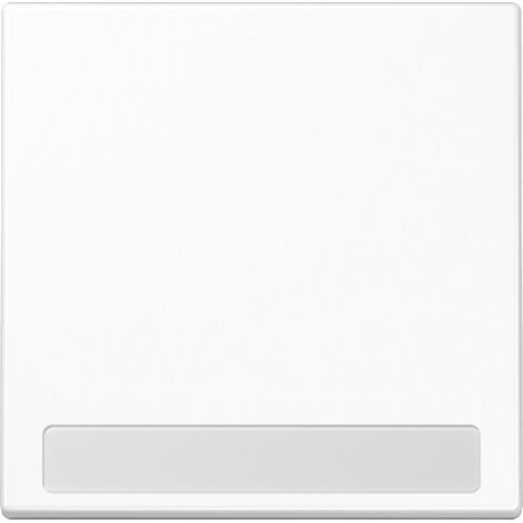 Jung Wippe Schriftfeld aws für Taster LS 990 NA WW