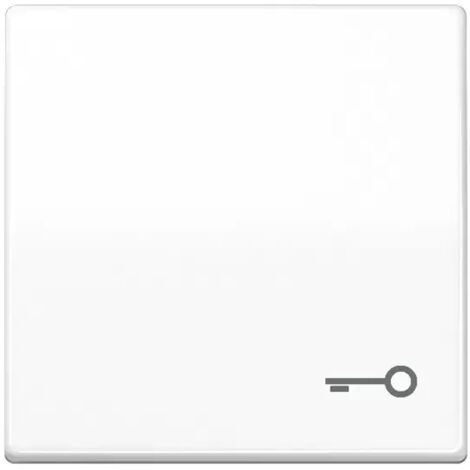 Jung Wippe Symbol TÜR aws für Taster AS 591 T WW