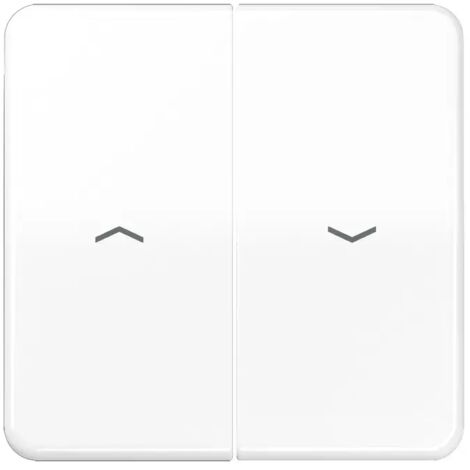 Jung Wippe Symbole aws CD 595 PBF WW