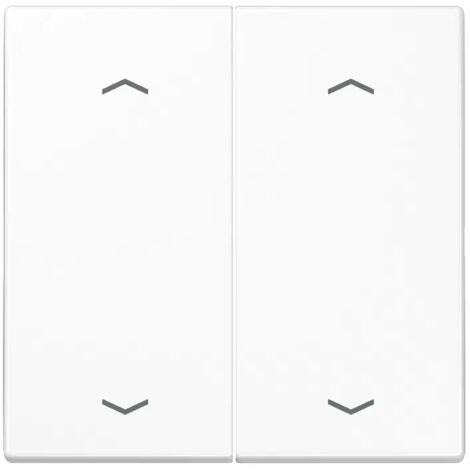 Jung Wippe Symbole aws für Taster 2-fach LS 995 MP WW
