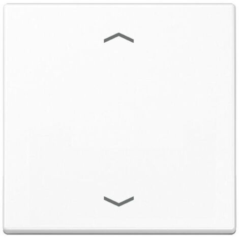 Jung Wippe Symbole aws für Taster A 590 P WW